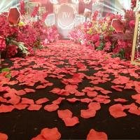 陈崇刚