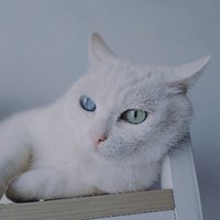 流光泉影