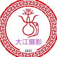 摄影师161633600540094