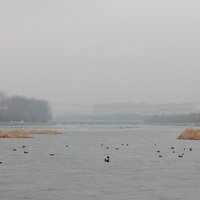 懒得搞昵称