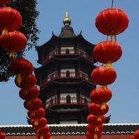 子虫飘