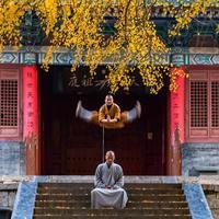 东方大鲨鱼