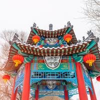 阳光全哥