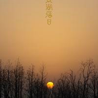 爱东