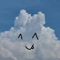 Ditto_Q