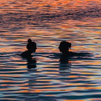 MartinPhoto_