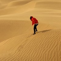 九曲茉莉