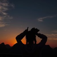 南枝不知北