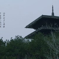 A摆渡