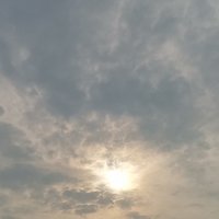 兽性天下