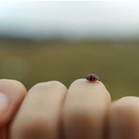 MiloPhoto