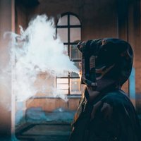 光光不拍照