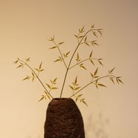 苏州摄影高兴