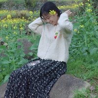 蔷薇下的阳光