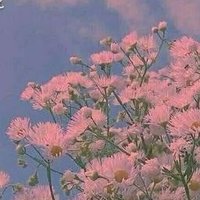 夰悻