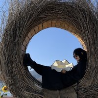 淡淡淡绿