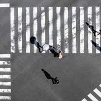 零蛋旦