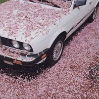 不倒公羽