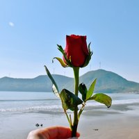 拾光诗旅