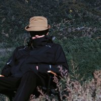 张屿南青