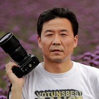 大军208