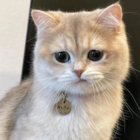 Charles_J
