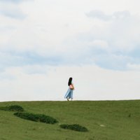 少女总裁v