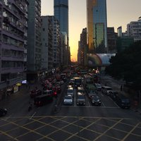 Panda的颜色