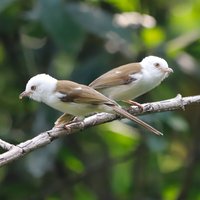 温馨家庭