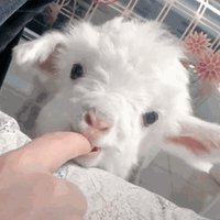 John_02