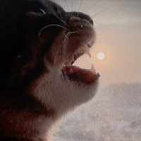 宁叔的21路公交