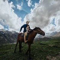 小多米的爸比