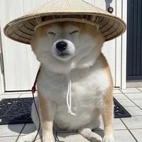 KimKimKim666