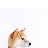 从前我是个小瘦子