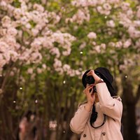 梧木同