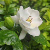 岁月静好40567
