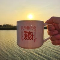 宋倾