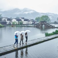 佳期影视-江