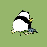 正正拍个照