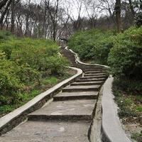 丶风烟俱净丶