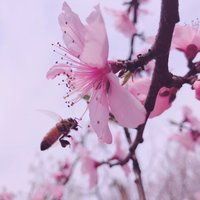 所谓的美好