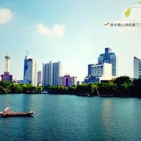 小丑鱼