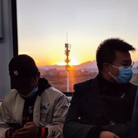 某鱼桑