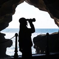 梵高的孤独丶