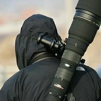 野生拓荒者