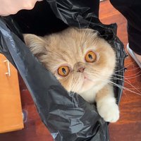 无聊d