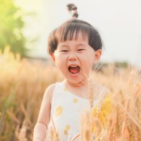 单车DX