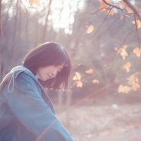 纳米熊213