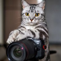 解忧与忘愁