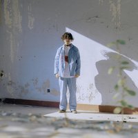 IWP野生摄影